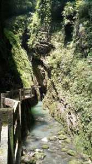 武隆龙水峡地缝，武隆龙水峡地缝国家地质公园？