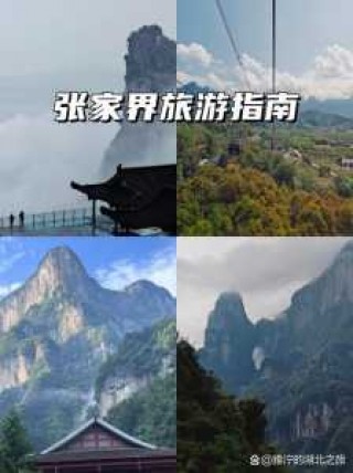 张家界旅游纯玩团，张家界低价旅游团