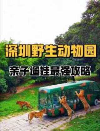 深圳野生动物园怎么样，深圳野生动物园怎么样好玩吗