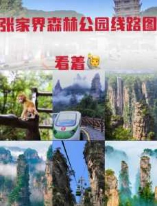 张家界森林公园游玩攻略，张家界森林公园游玩攻略地图？