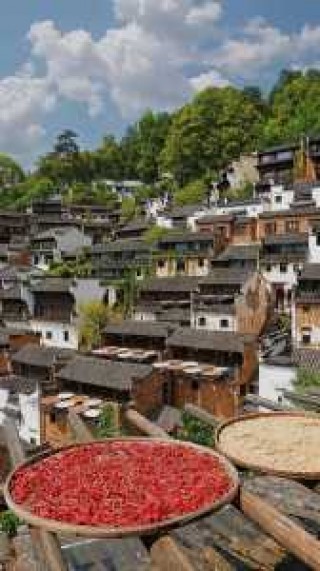 江西婺源旅游景点介绍？江西婺源旅游景点排名前十？
