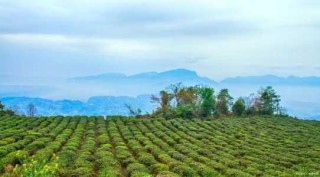 雅安旅游攻略景点必去，雅安旅游攻略自驾游