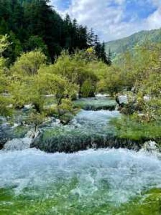 成都报团九寨沟二日游费用，成都九寨沟二日游团电话