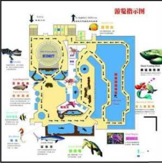 南京海底世界游玩攻略，南京海底世界门票费用多少