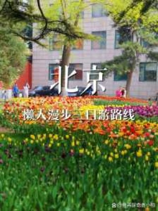 北京带孩子一日游，北京带孩子一日游青华大学