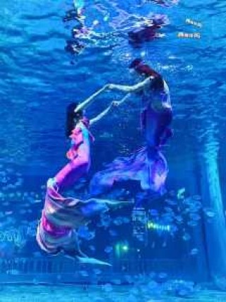 德州海洋极地海洋世界门票？德州海洋世界门票多钱？