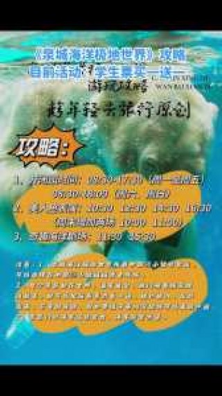 泉城海洋极地世界，泉城海洋极地世界门票优惠政策
