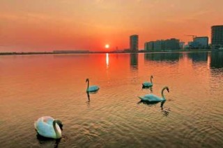 郑州旅游景点大全？郑州旅游景点大全排名 一日游？