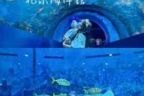 附近哪里有海底世界，附近哪里有海底世界免费的