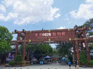 东莞香市动物园？东莞香市动物园有熊猫吗？