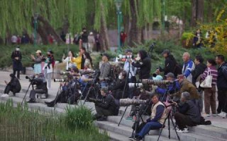 玉渊潭公园门票费用？玉渊潭公园门票费用调整原因？