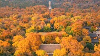 南京附近一日游，南京附近一日游的景点