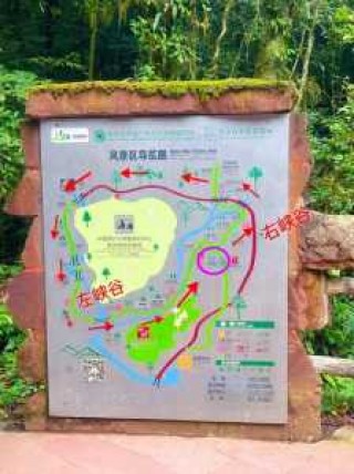 碧峰峡门票多少钱，碧峰峡门票多少钱一张