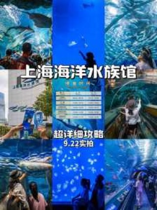 上海海洋水族馆？上海海洋水族馆门票多少钱？