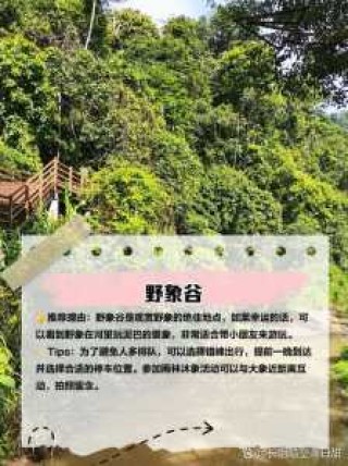 普洱旅游景点排名，普洱旅游推荐