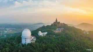 辰山植物园官方网站订票，辰山植物园 官方网站