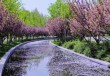 北京玉渊潭公园介绍，北京玉渊潭公园门票费用