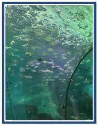 大明湖海底世界，大明湖海底世界值得去吗
