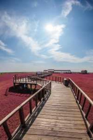 辽宁盘锦旅游景点大全排名？辽宁盘锦旅游攻略必玩的景点？