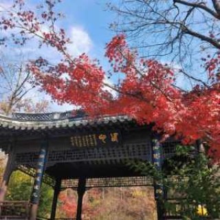 南京栖霞山风景区门票，南京栖霞山风景区门票预约？