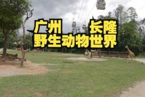 番禺野生动物园门票团购？番禺野生动物园门票多少？