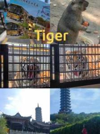 沈阳一日游攻略，沈阳一日游攻略,4个值得一去的地方,各具特色
