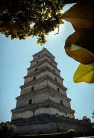 西安市区免费景点大全？西安市区免费的景点？