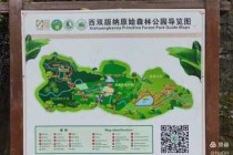 西双版纳原始森林公园门票，西双版纳原始森林公园门票60岁有优惠吗？