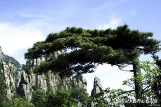 黄山旅游团报名三日游？黄山旅游3日游？
