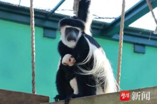 无锡动物园门票多少钱一张，无锡动物园门票2019多少钱？