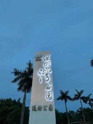 深圳湾公园游玩攻略，深圳湾公园景点