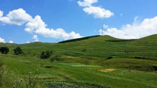 张北草原几月份去合适？张北草原6月份去草绿了没？