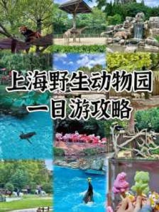 上海野生动物园需要预约吗，上海野生动物园要预约吗 2020？