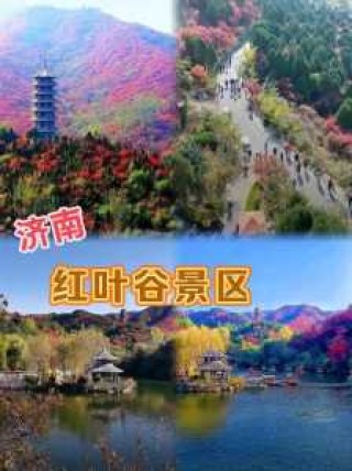 济南红叶谷门票优惠政策，济南红叶谷门票是多少