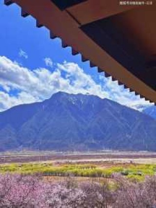 专做年轻人的旅行社？专做年轻人的旅行社有哪些？