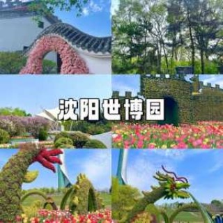 沈阳一日游攻略，沈阳一日游攻略,4个值得一去的地方,各具特色