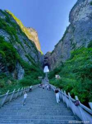 张家界主要景点介绍？张家界的旅游景点介绍？
