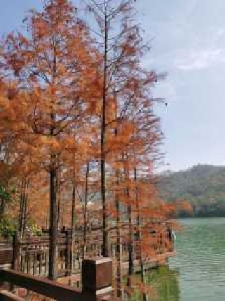 江门比较好玩的旅游景点，江门比较好玩的旅游景点有哪些