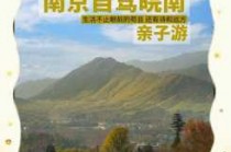 南京旅游攻略景点必去免费，南京旅游攻略景点必去路线？