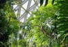 辰山植物园官方网站订票，辰山植物园 官方网站