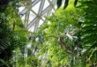 辰山植物园官方网站订票，辰山植物园 官方网站