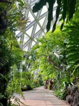 辰山植物园官方网站订票，辰山植物园 官方网站