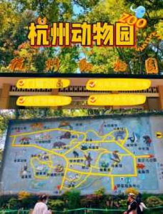 杭州动物园门票多少钱一张，杭州动物园门票多少钱一张儿童