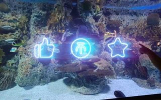 北京动物园海洋馆门票费用，北京动物园海洋馆门票费用调整前多少钱？