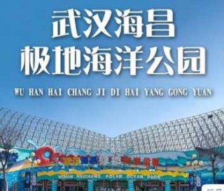 武汉海洋馆一日游攻略？武汉海洋馆门票费用？