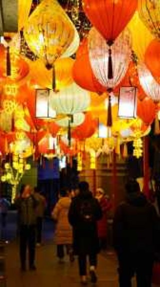 春节旅游景点排名国内，春节旅游好去处排名榜国内