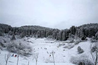 武隆仙女山天气预报，武隆天气预报