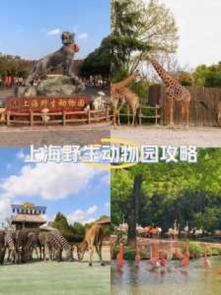 上海野生动物园值得去吗，上海野生动物园旅游必看攻略？