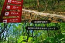 北京周边三日游推荐，北京周边三日游攻略？