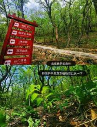北京周边三日游推荐，北京周边三日游攻略？